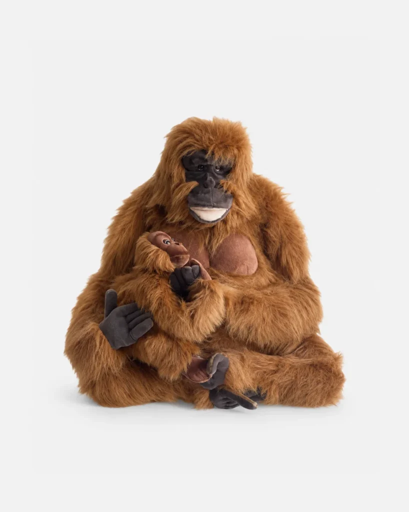 Orangutan, Maman orang outang et baby