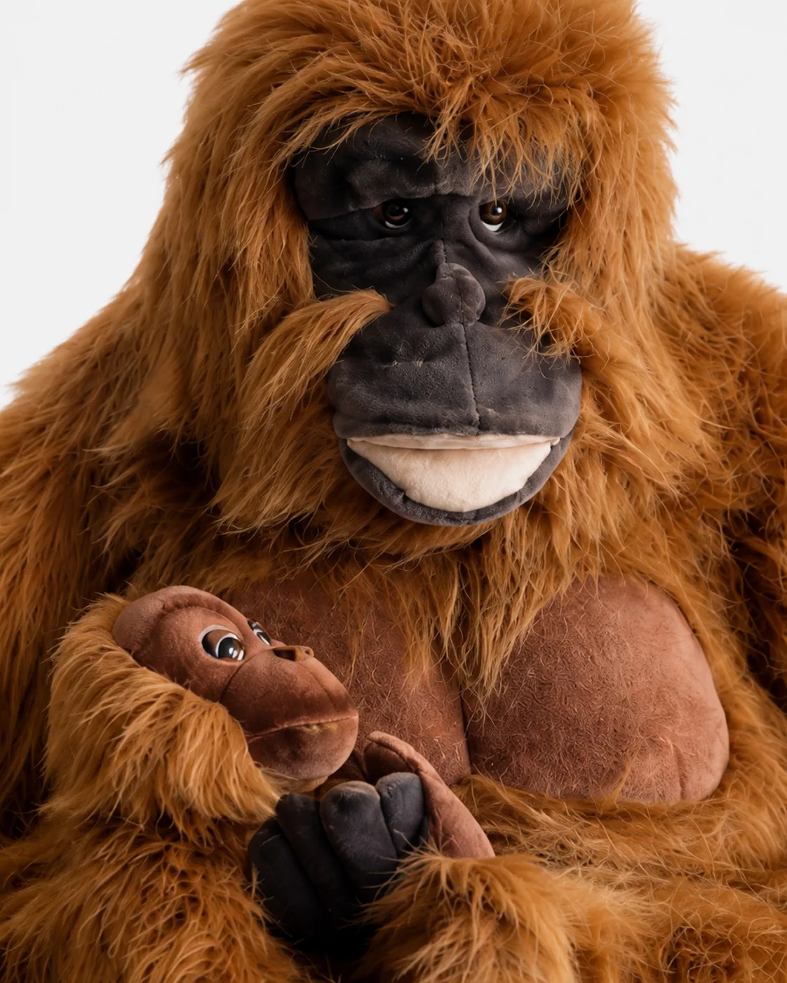 Orangutan, Maman orang outang et baby