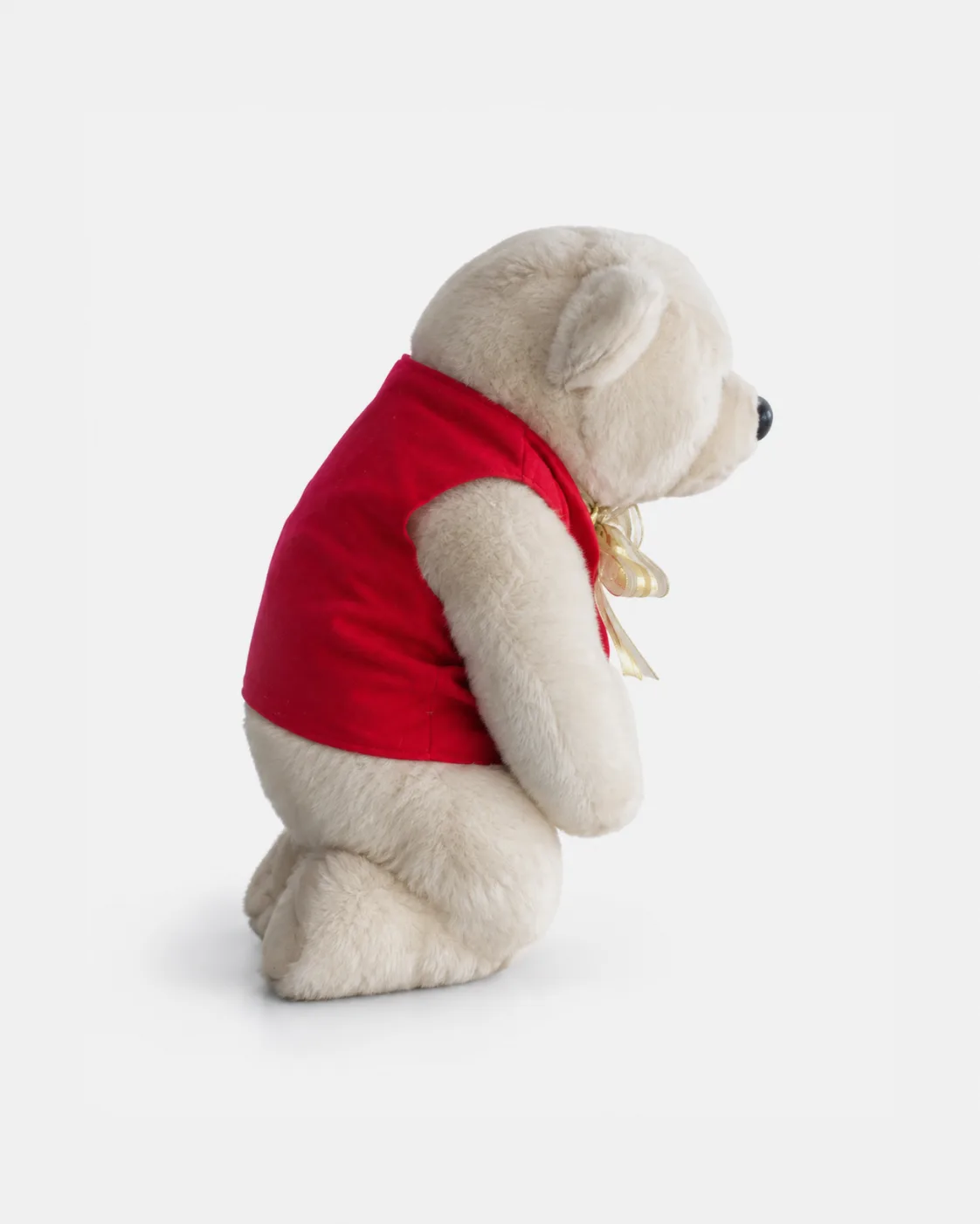 Ours blanc a genou