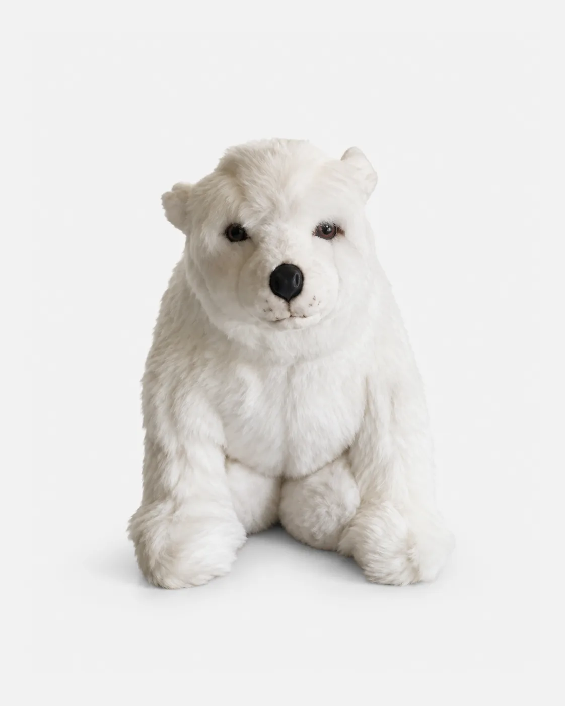 Ours blanc assis