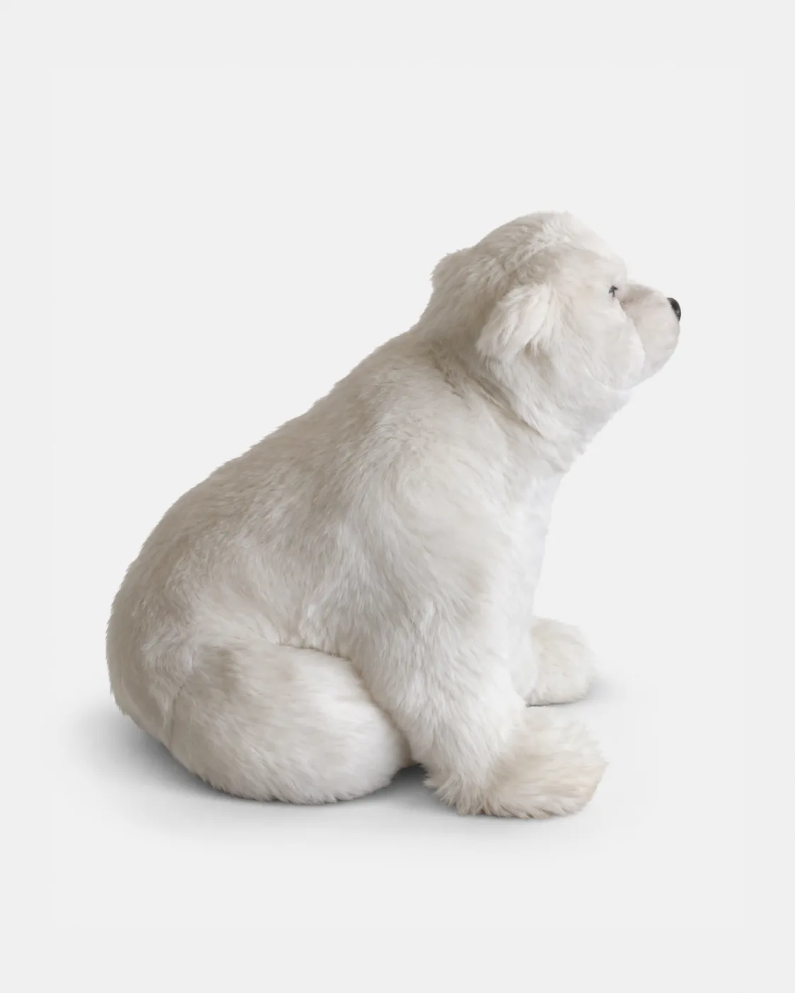 Ours blanc assis