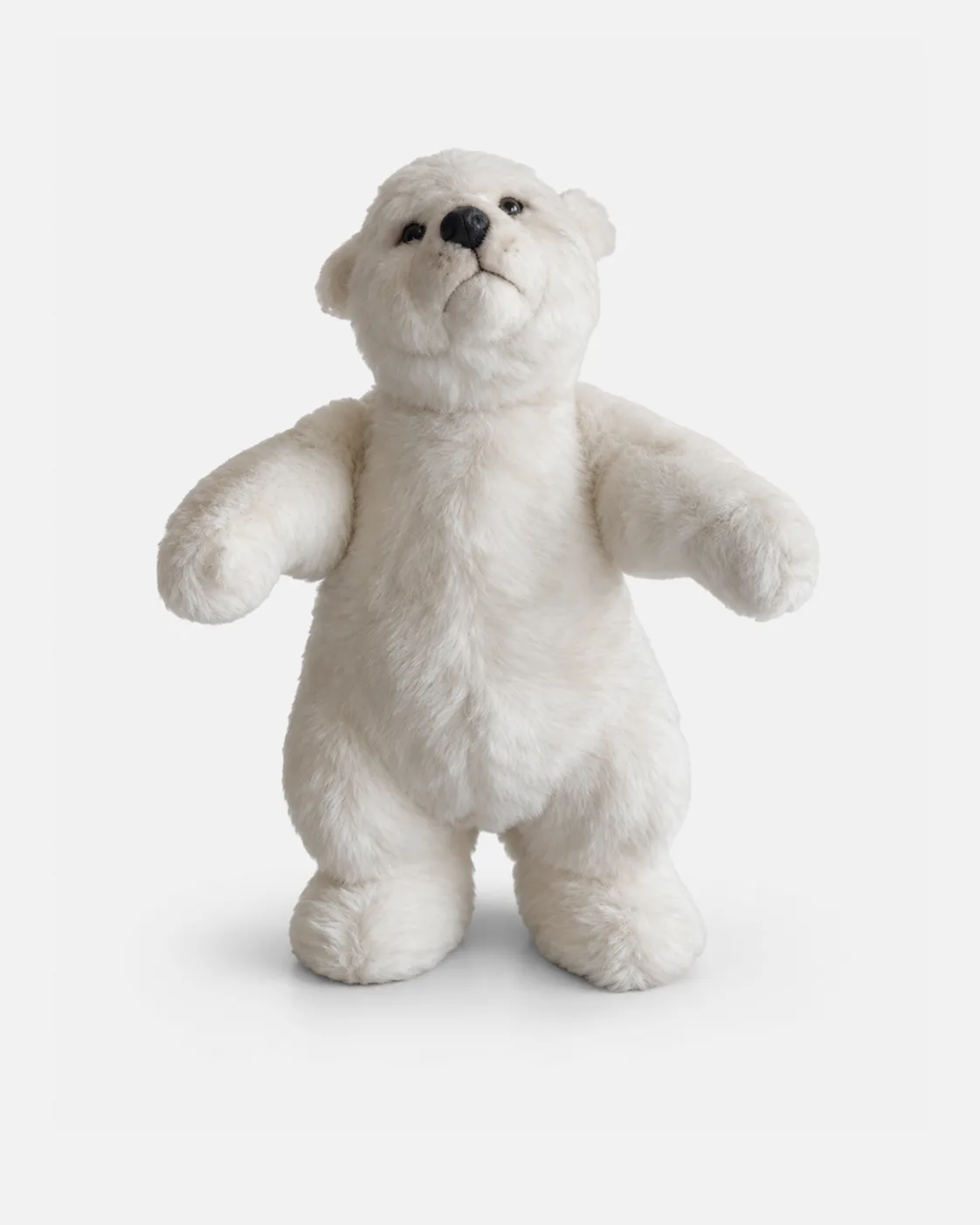 Ours blanc debout