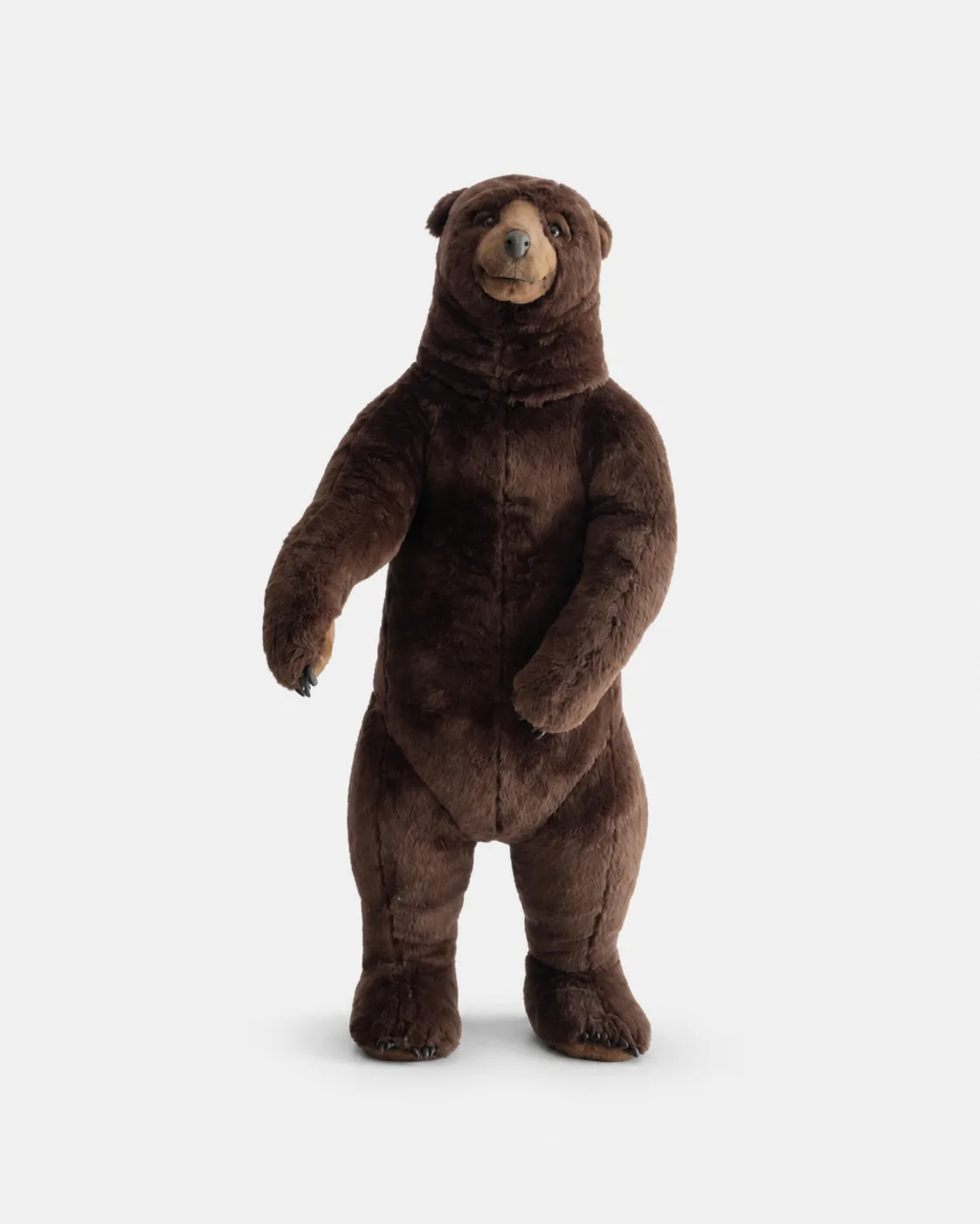 Ours brun debout