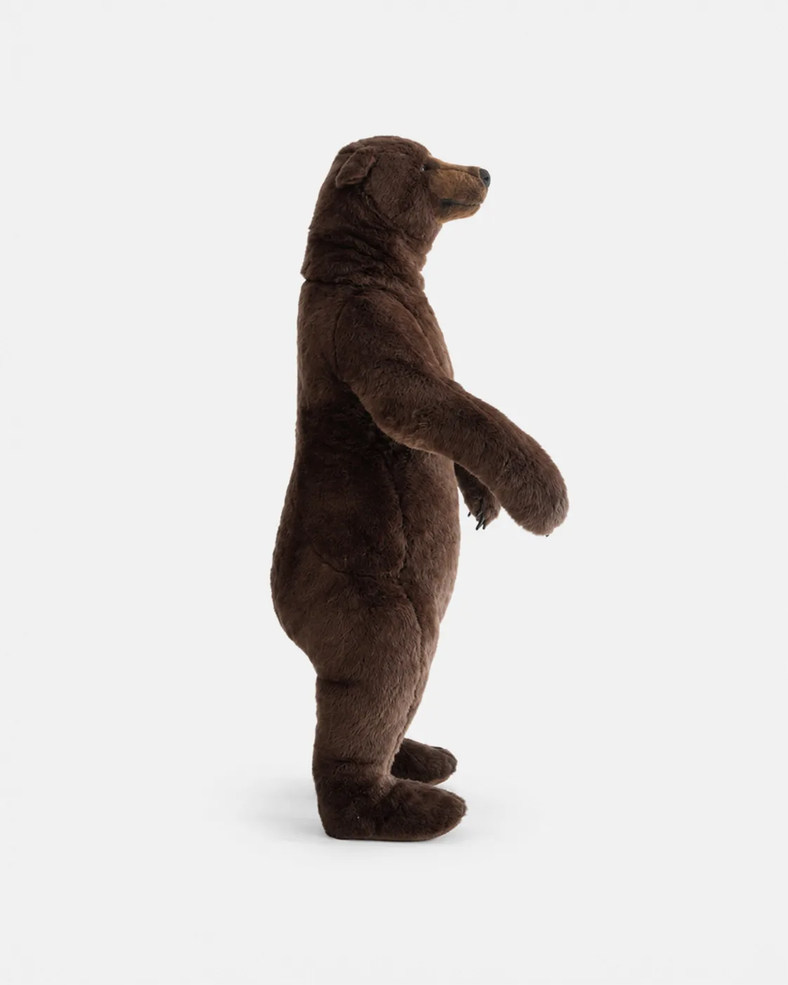 Ours brun debout
