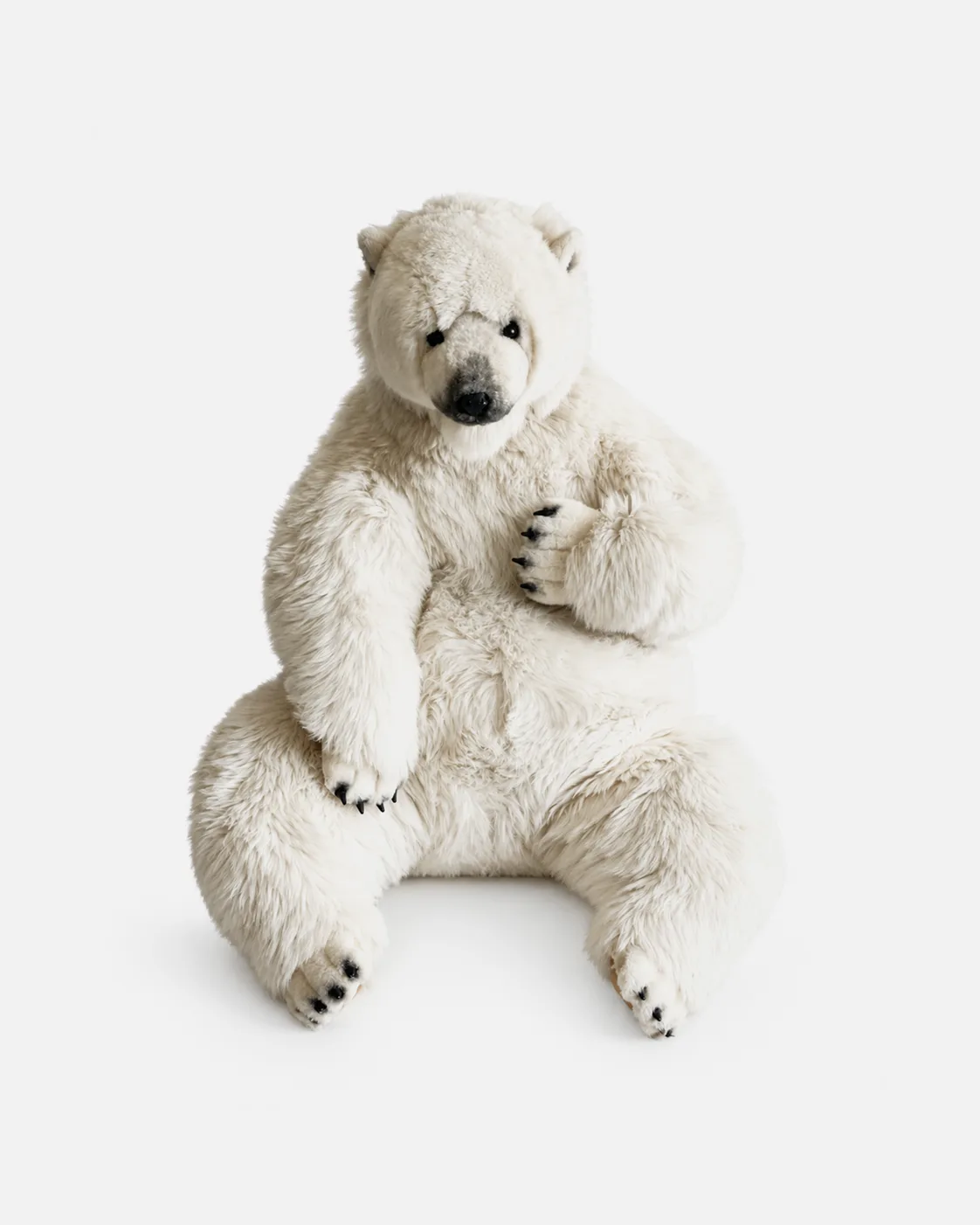 Ours polaire assis