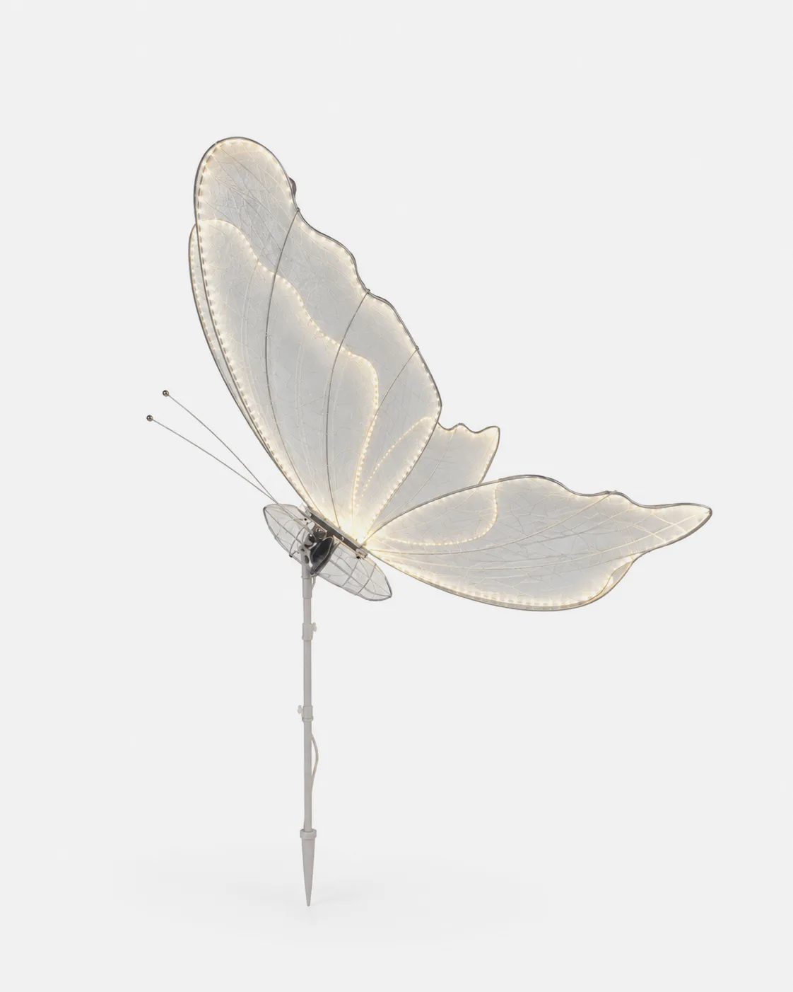 Papillon lumineux