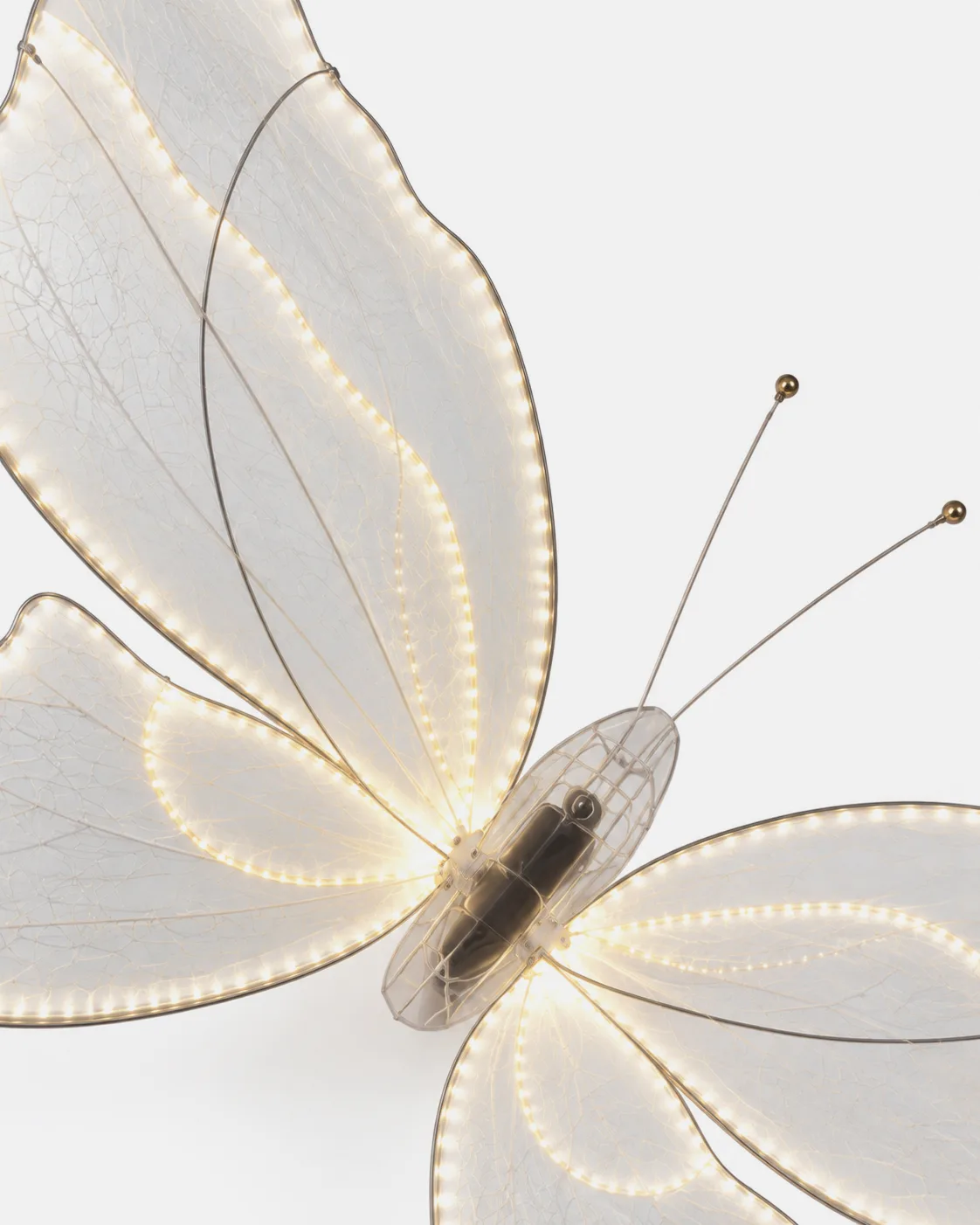 Papillon lumineux