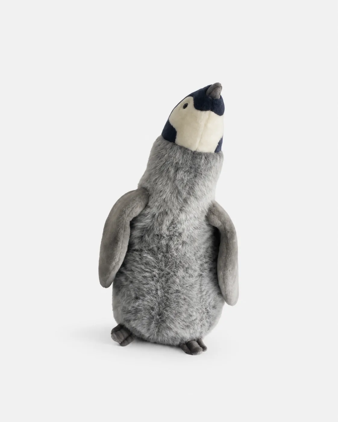 Pingouin, Bébé