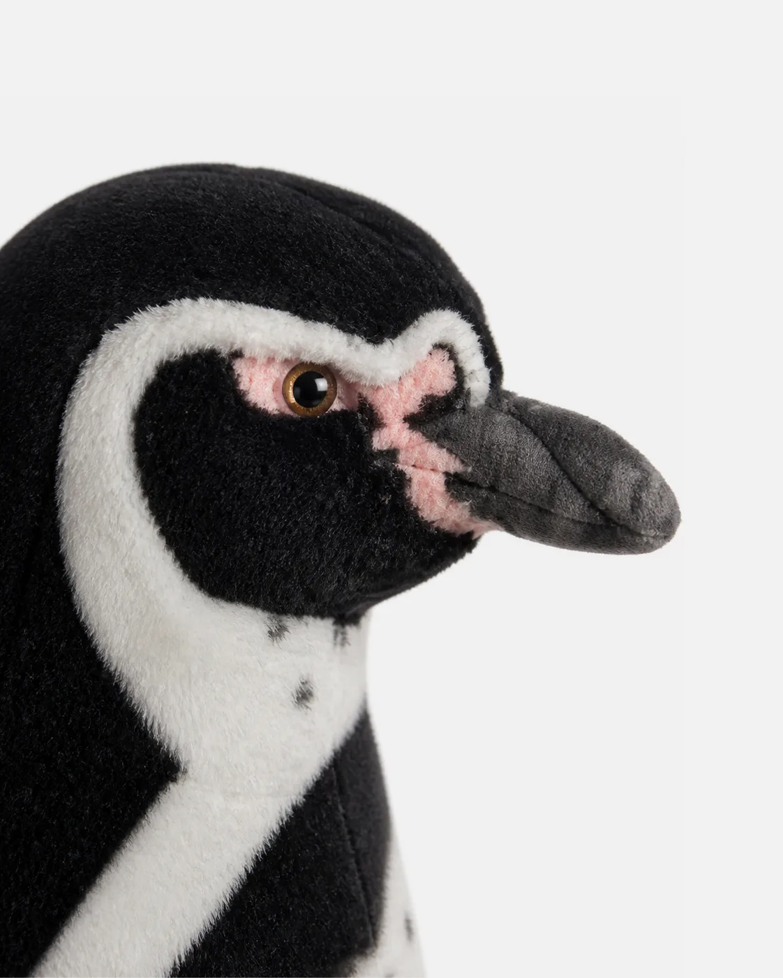 Pingouin, Manchot empereur