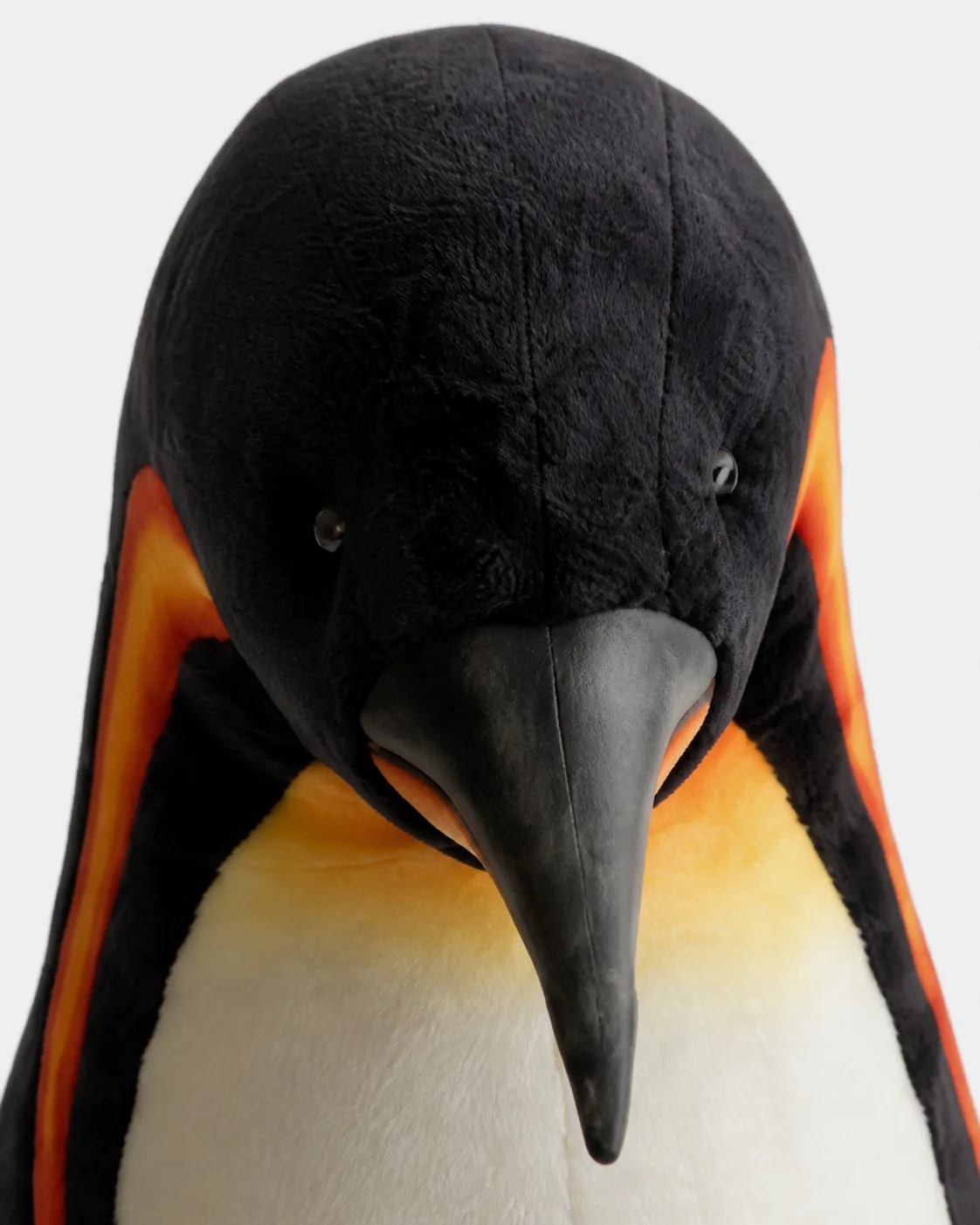 Pingouin, Manchot empereur 2