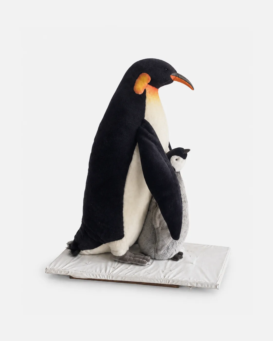 Pingouin, Manchot et baby