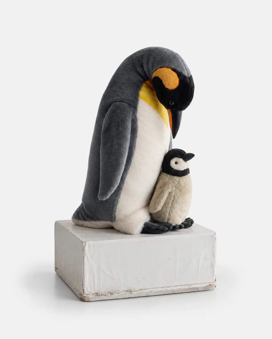Pingouin, Manchot et baby sur banquise