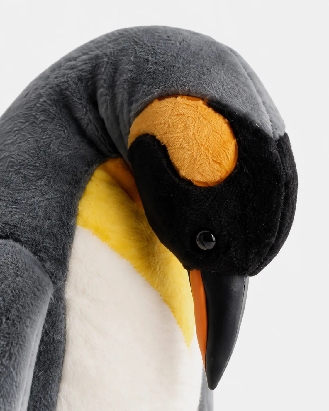 Pingouin, Manchot et baby sur banquise