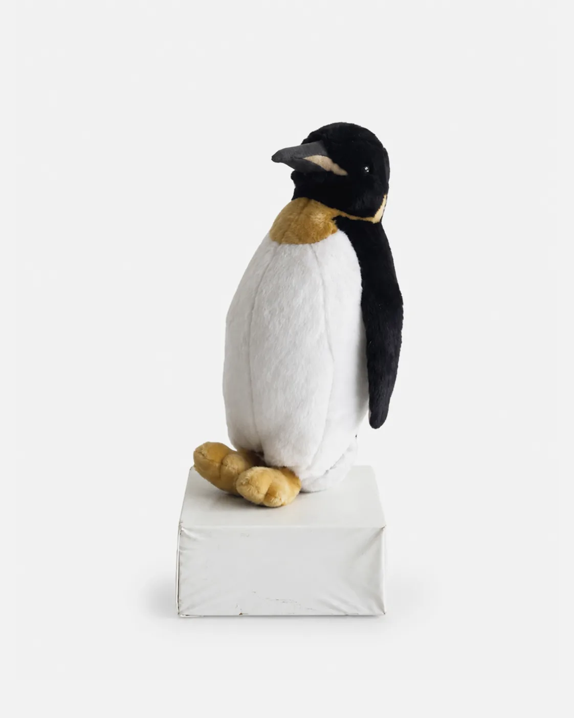 Pingouin, sur banquise