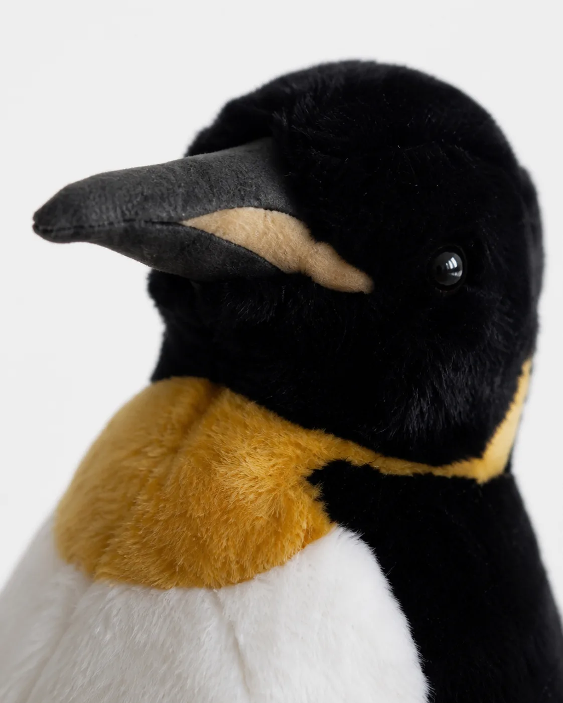 Pingouin, sur banquise