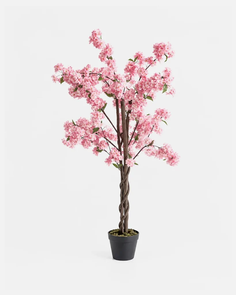 Plante en pot, Cerisier rose, 110 cm