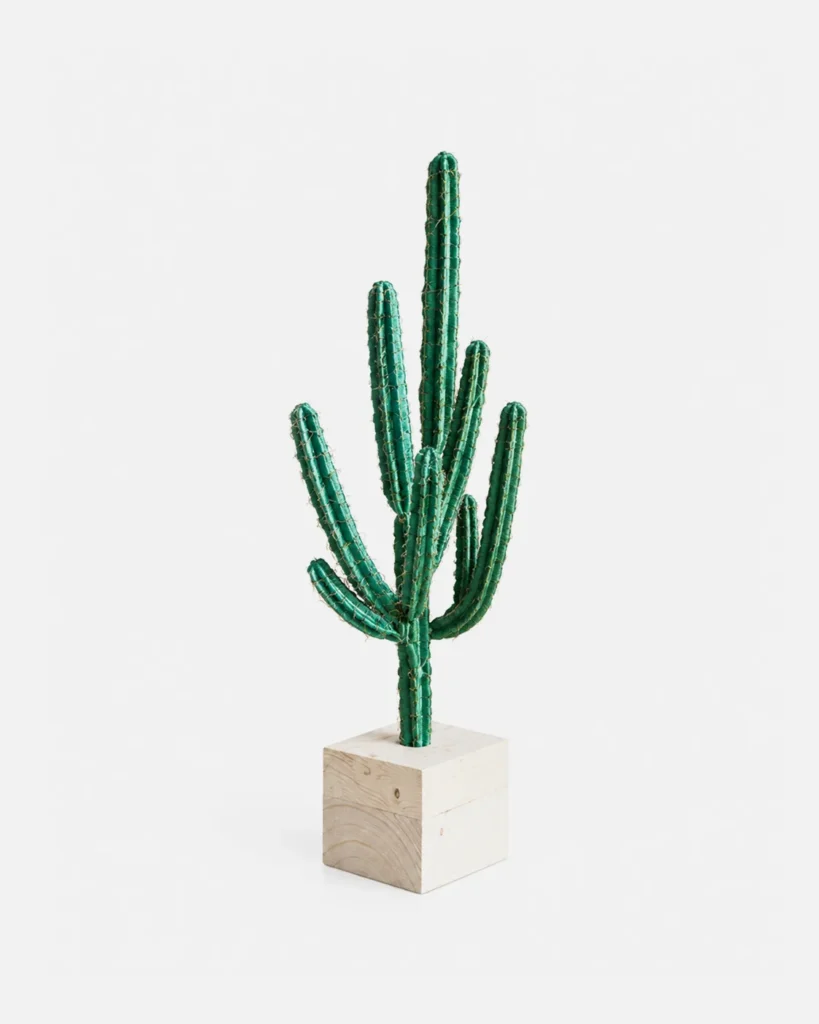 Plante en pot, Grand Cactus