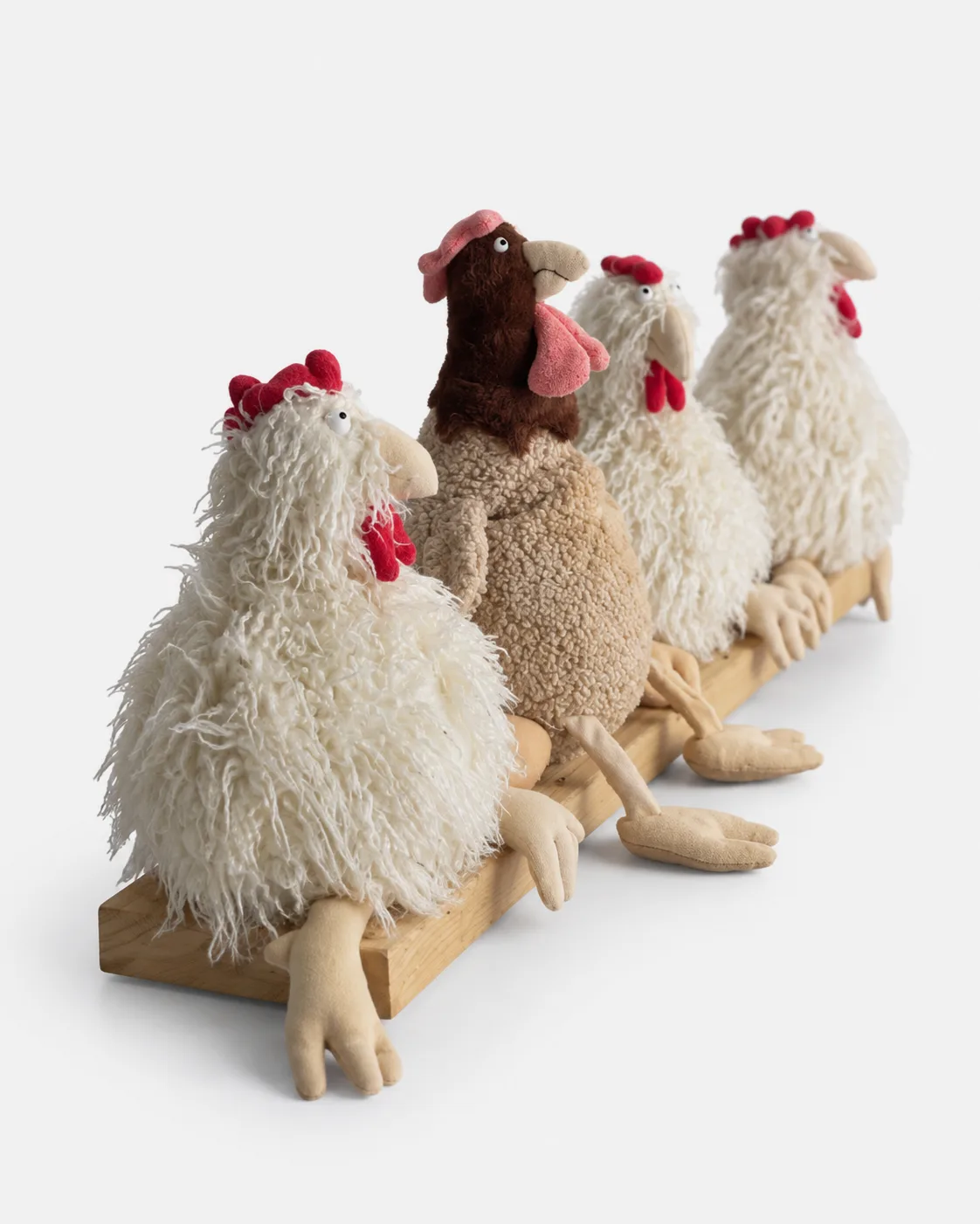 Poule, 4 poulettes zinzin