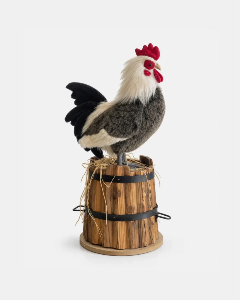 Poule, Coq sur tonneau