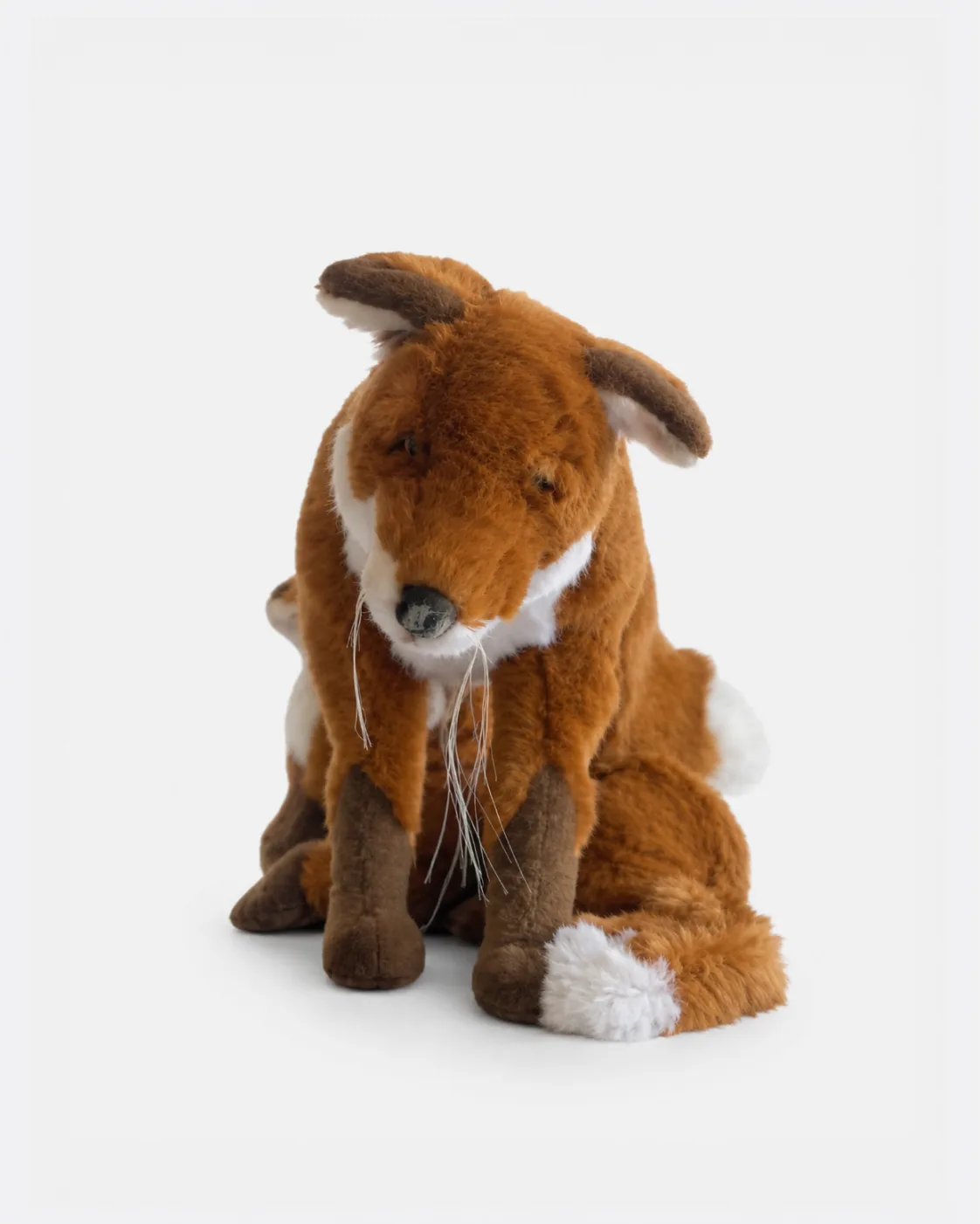 Renard, Maman et baby renard