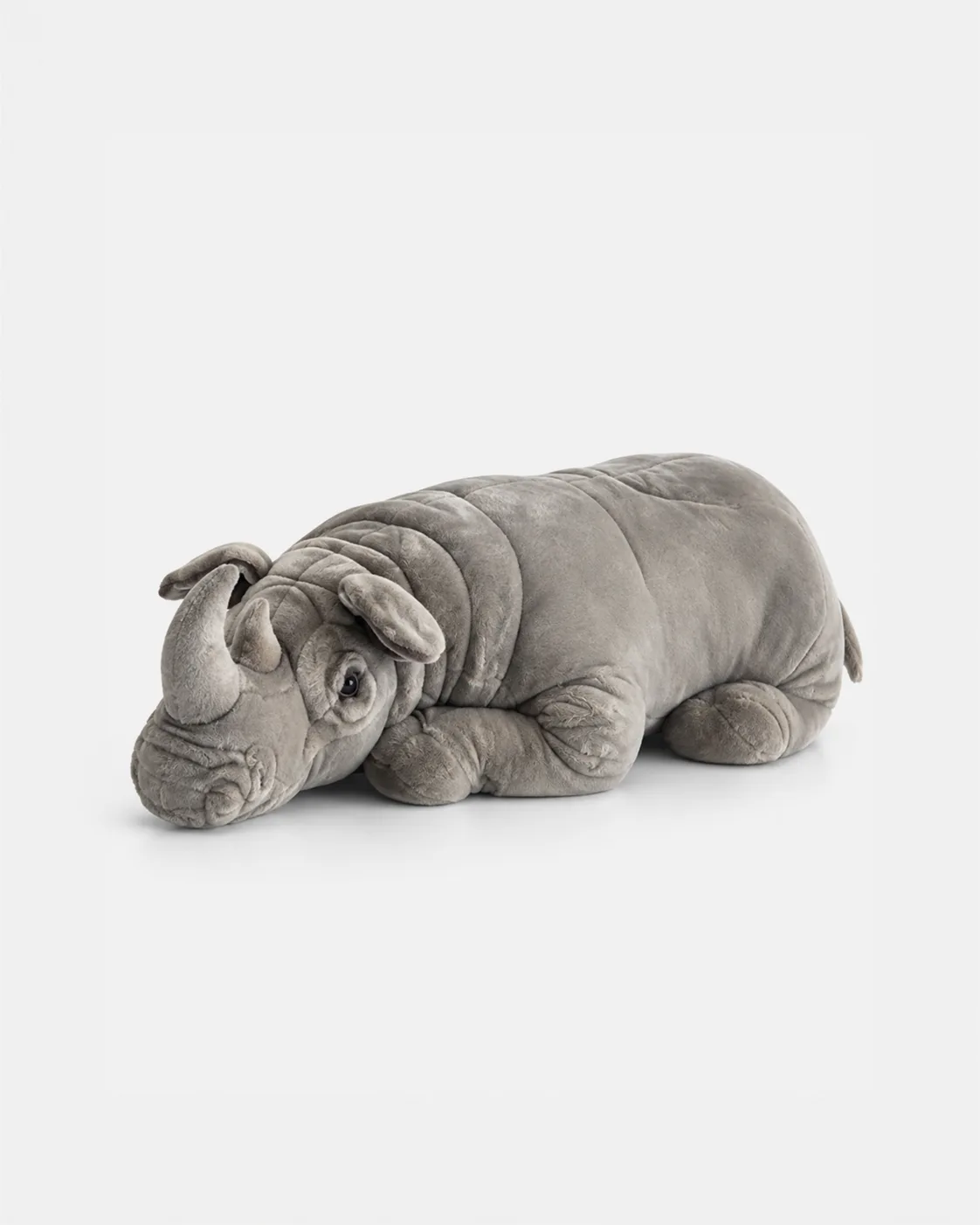Rhinocéros