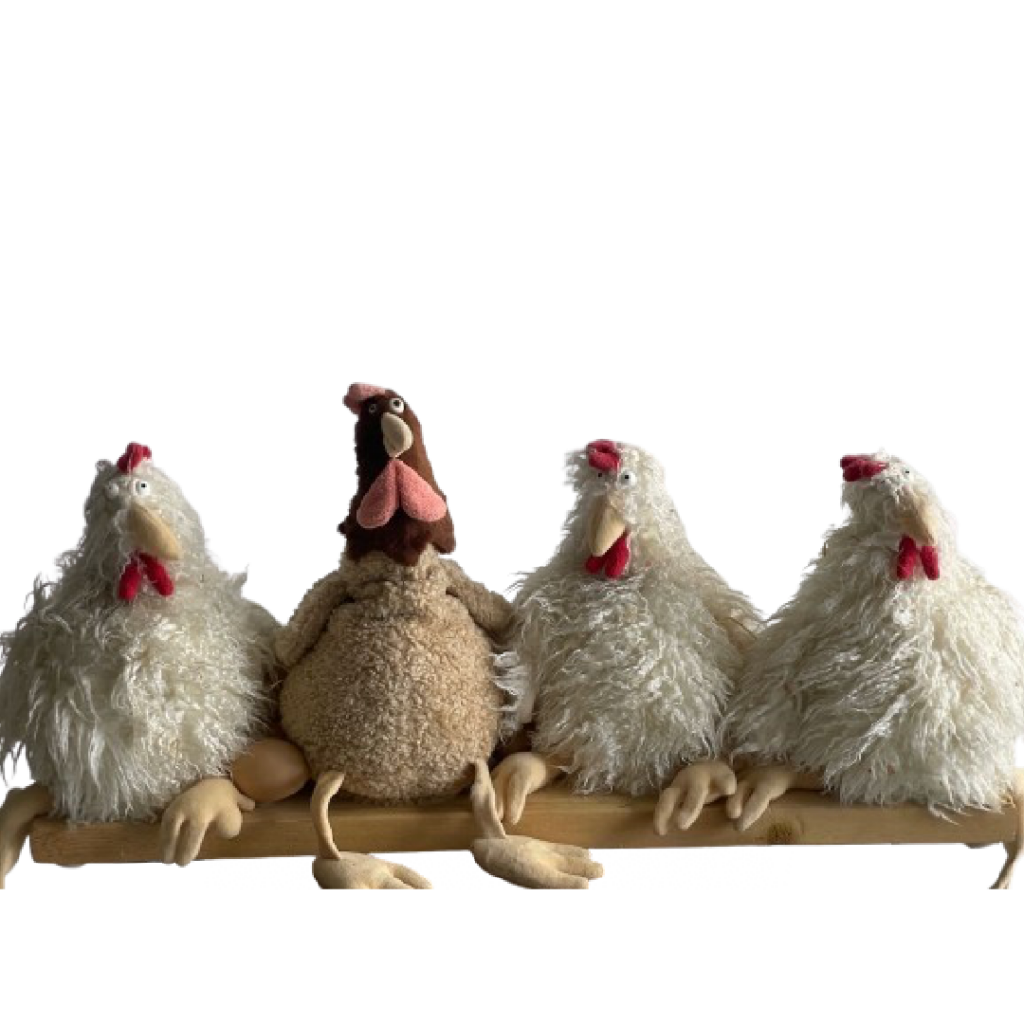 Poulailler 3 poules