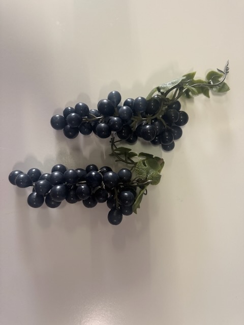 Grappe de raisin rouge