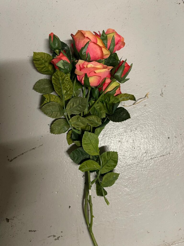 Rose rose pâle