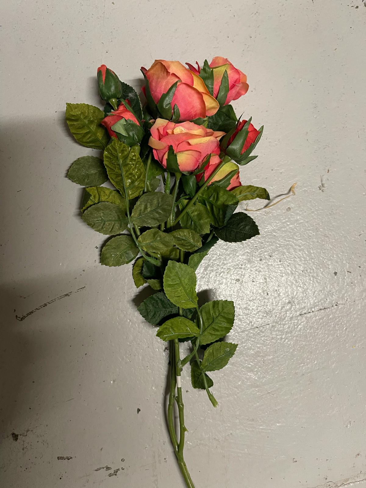 Rose rose pâle