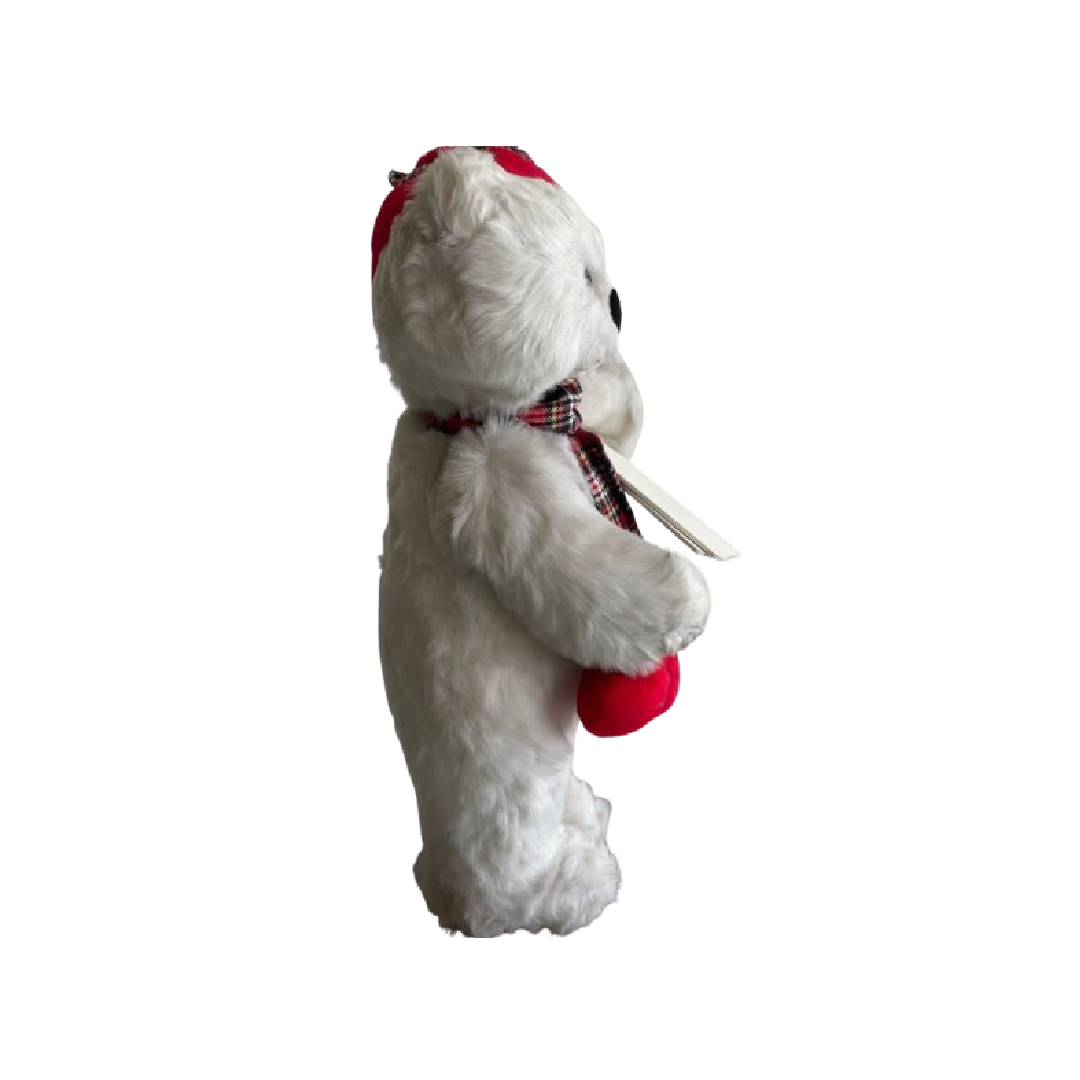 Souris costumes skieur Garçon