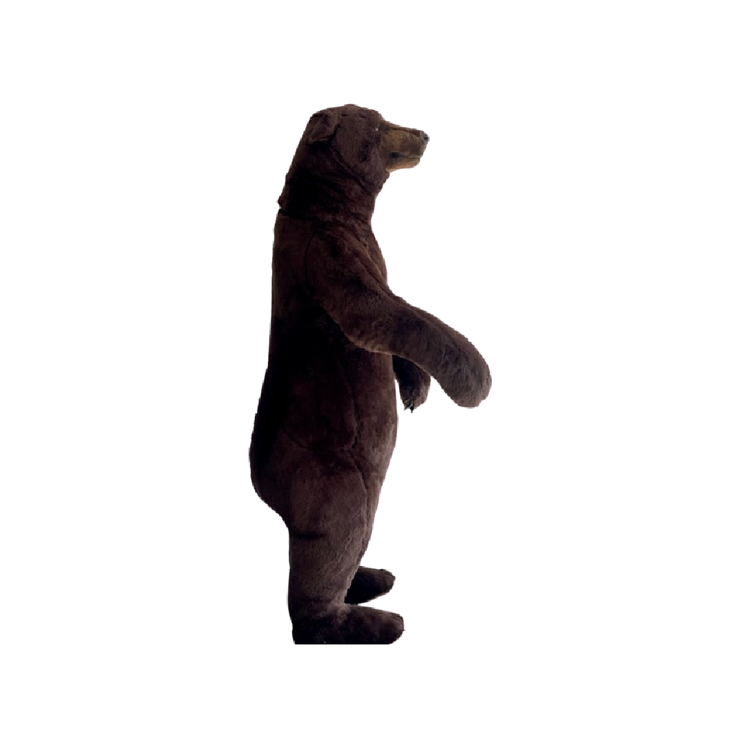 Ours brun debout