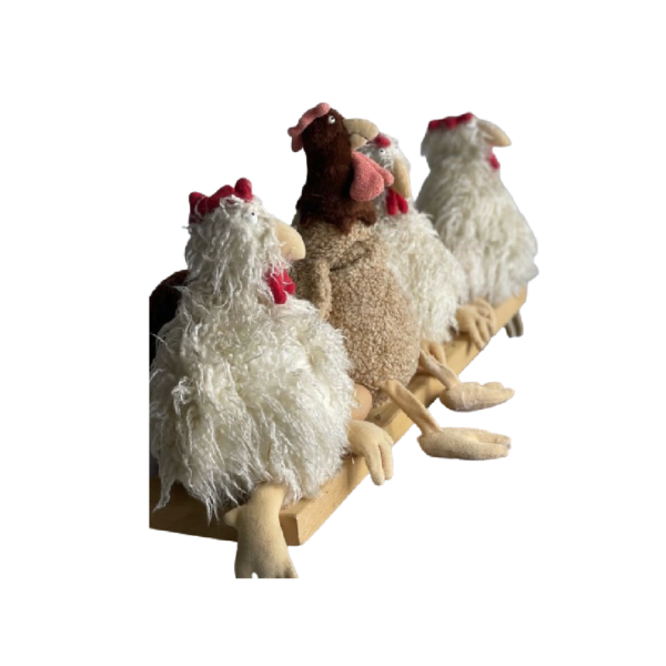 Poulailler 3 poules – Image 2