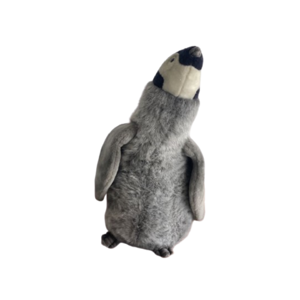 Bébé pingouin – Image 2