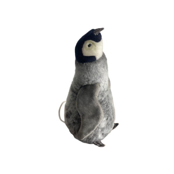 Bébé pingouin