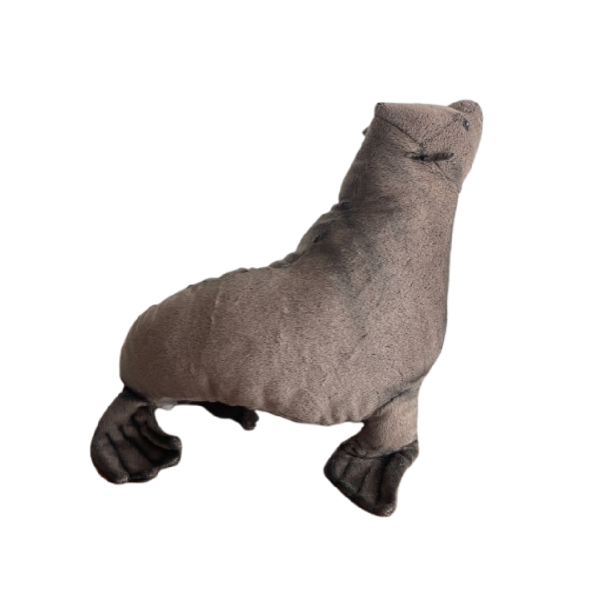 bébé Phoque – Image 2