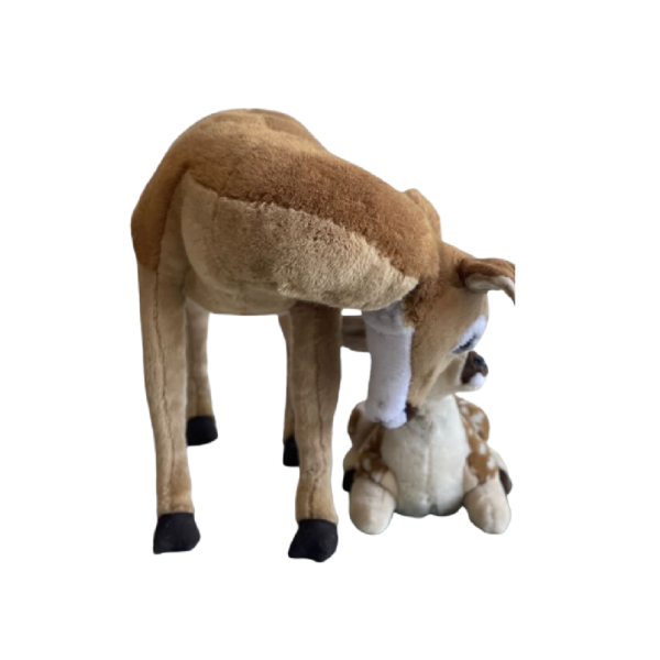 Maman biche et faon – Image 2