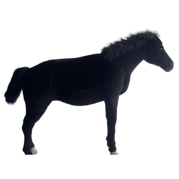 Cheval noir – Image 2