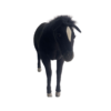 Cheval noir