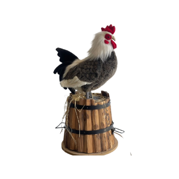 Coq sur tonneau