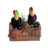 Deux toucans Dans boite