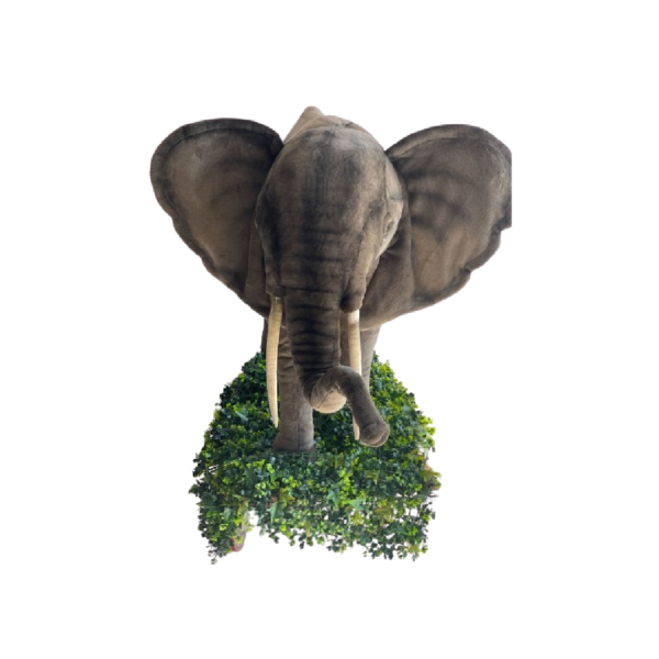 Eléphant