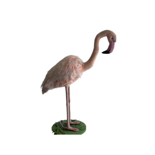 Flamant rose – Image 2