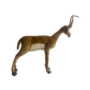 Gazelle malle Debout