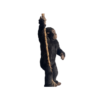 Chimpanzé – Image 2