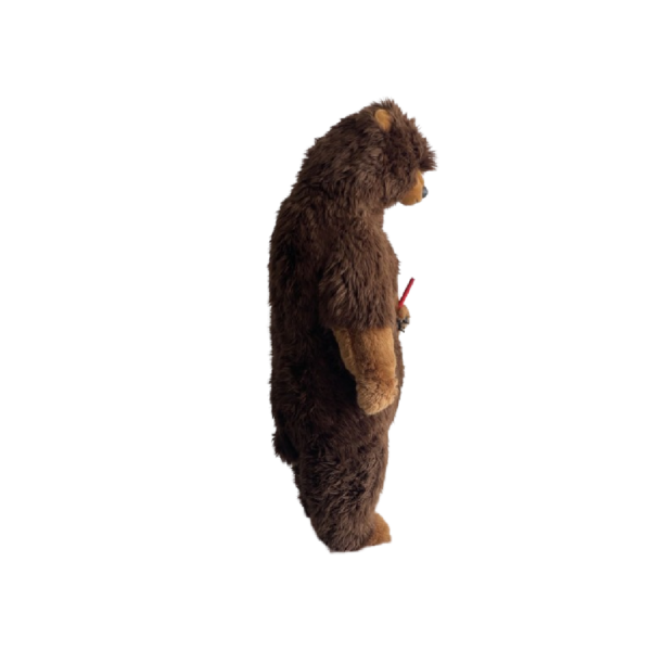 Ours brun debout avec canne – Image 2