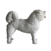 Chien husky Blanc – Image 2