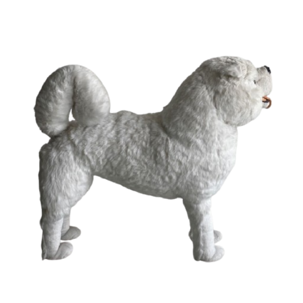 Chien husky Blanc – Image 2