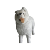 Chien husky Blanc