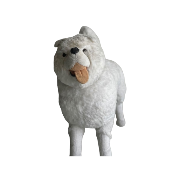 Chien husky Blanc