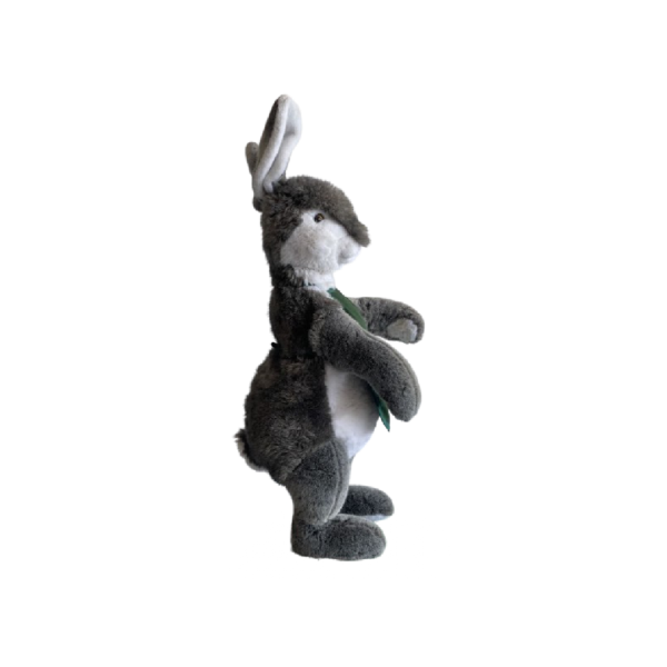 Lapin Tablier vert – Image 2